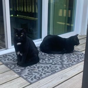 Meet your Posher, Amber